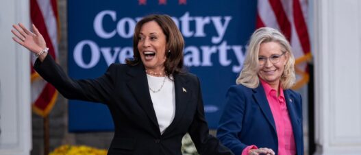 As Kamala Harris Makes Bad Mistake In Swing States, Trump Finds The Perfect Attack