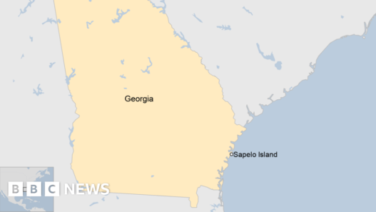 At least seven dead after dock collapse in Georgia