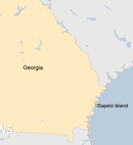 At least seven dead after dock collapse in Georgia