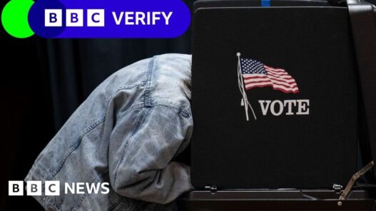 Can illegal immigrants really vote in the US election?