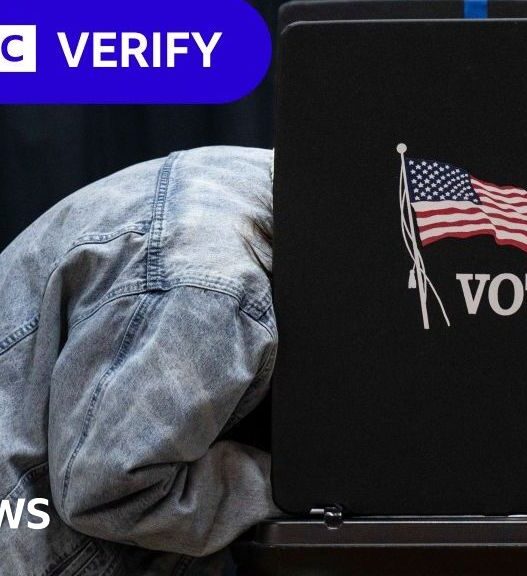 Can illegal immigrants really vote in the US election?