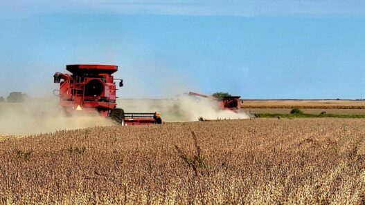 Crop yields encouraging during Illinois harvest season | Illinois