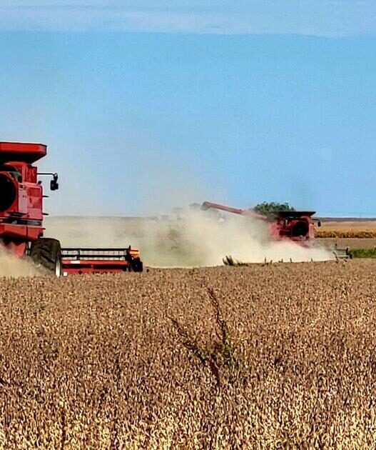 Crop yields encouraging during Illinois harvest season | Illinois