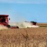 Crop yields encouraging during Illinois harvest season | Illinois