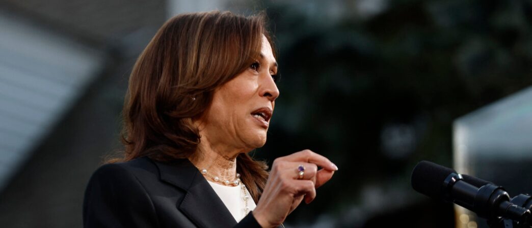 DAVID BOSSIE: Dems Are Quickly Finding Out That Kamala’s Basement Strategy Is A Nonstarter