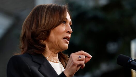 DAVID BOSSIE: Dems Are Quickly Finding Out That Kamala’s Basement Strategy Is A Nonstarter