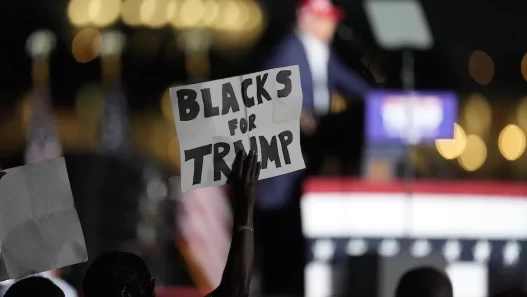 Democrats overestimate the role of race in black voters’ decisions: Poll