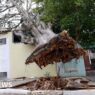 Eight dead as storms bring strong winds and downpours