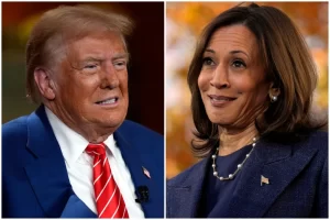 For Harris, Trump is the answer