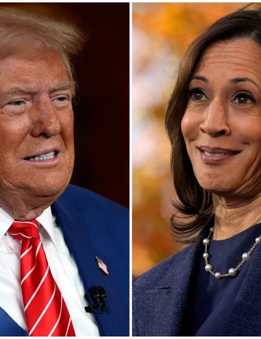 For Harris, Trump is the answer