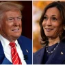 For Harris, Trump is the answer