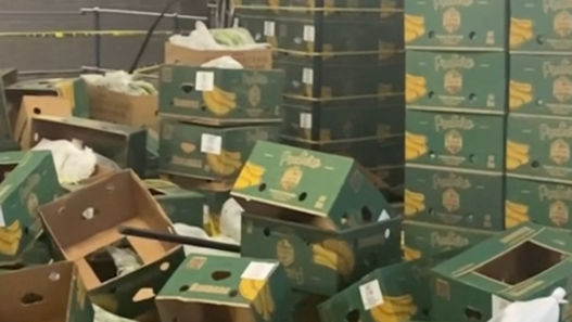 Gang smuggled £200m of cocaine into UK in Columbian banana boxes