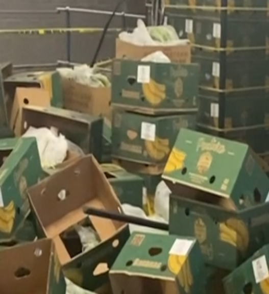 Gang smuggled £200m of cocaine into UK in Columbian banana boxes