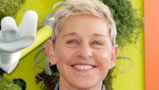 Gay Trump Supporters Blast Ellen Degeneres After Anti-Trump Post