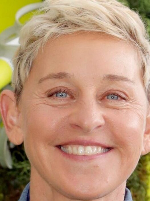 Gay Trump Supporters Blast Ellen Degeneres After Anti-Trump Post