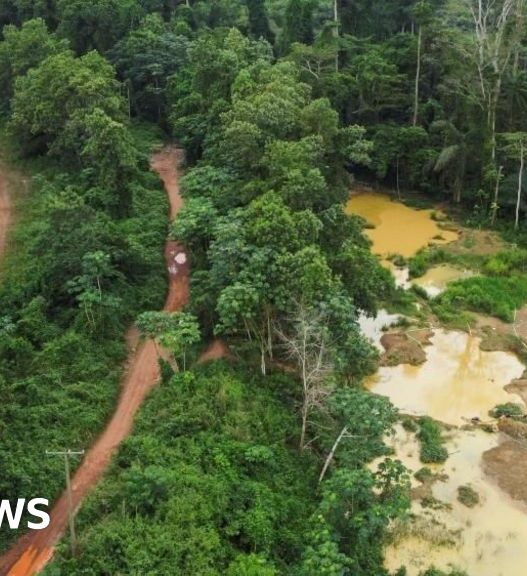 Ghana's illegal gold mining industry causes environmental destruction