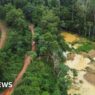 Ghana's illegal gold mining industry causes environmental destruction