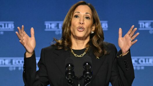 Harris' Economic Plan Doubles Down on Worst of Bidenomics