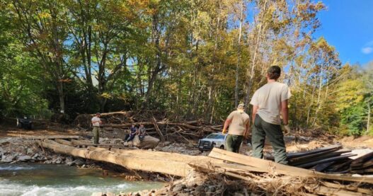 Helene: Farmers encouraged to assess soil damage | North Carolina