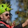 Hundreds go bonkers for conkers at World Conker Championships