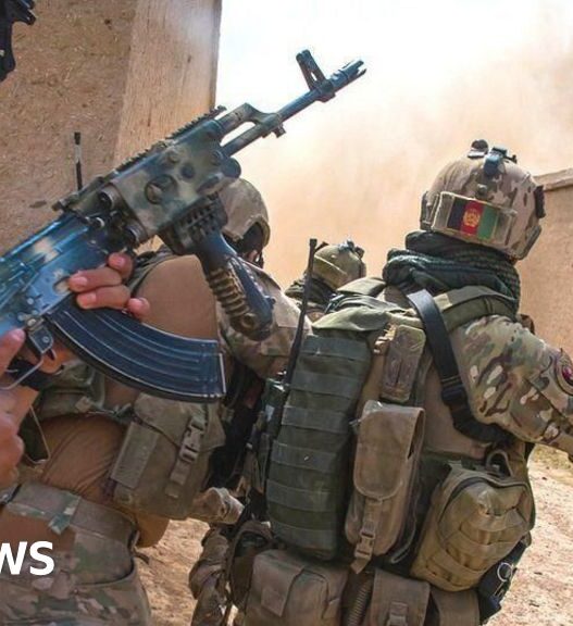 Hundreds of ex-special forces to be allowed in UK