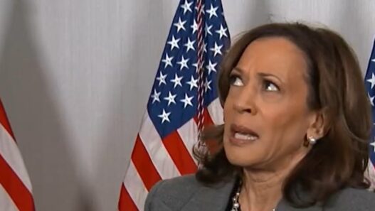 JOSH HAMMER: The Collapse Of Kamala Harris