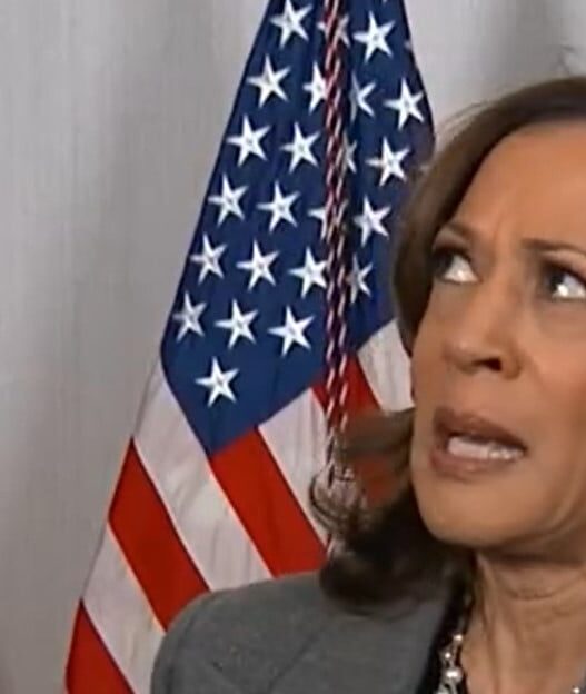 JOSH HAMMER: The Collapse Of Kamala Harris