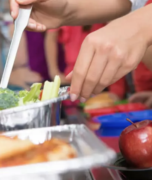 More than 1,000 students signed up for plant-based lunches in Illinois | Illinois