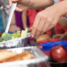 More than 1,000 students signed up for plant-based lunches in Illinois | Illinois