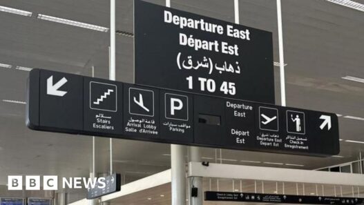 New flight chartered for Britons to leave Lebanon