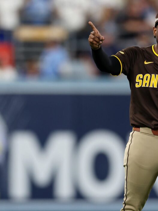 Padres-Dodgers NLDS Game 2 Forced To Come To Halt After Los Angeles Fans Throw Stuff At San Diego Players