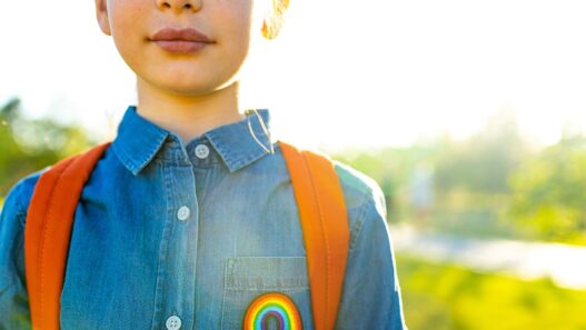 Pay No Attention to Gender Activist Behind Public School Curtain