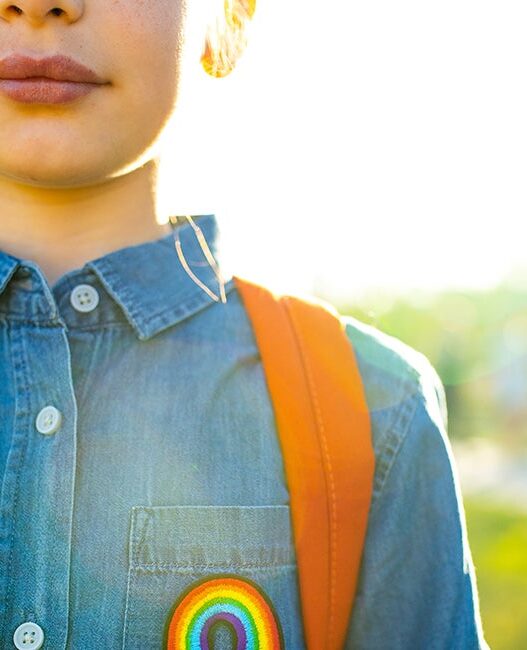 Pay No Attention to Gender Activist Behind Public School Curtain