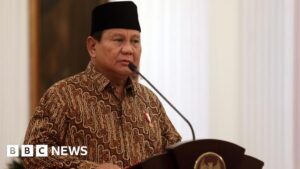 Prabowo takes office with largest cabinet since 1960s