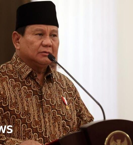 Prabowo takes office with largest cabinet since 1960s