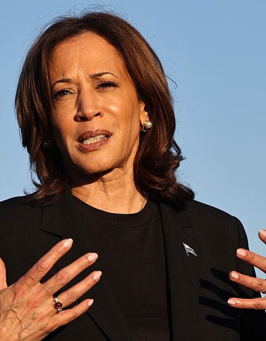 Prof Calls for Violence Against Men Vote Against Kamala Harris