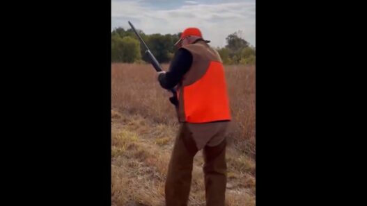 Self-Proclaimed Firearm Enthusiast Tim Walz Struggles To Load $2,100 Shotgun During Hunting Trip