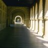 Stanford Requires DEI Statement From Students Enrolling in Class