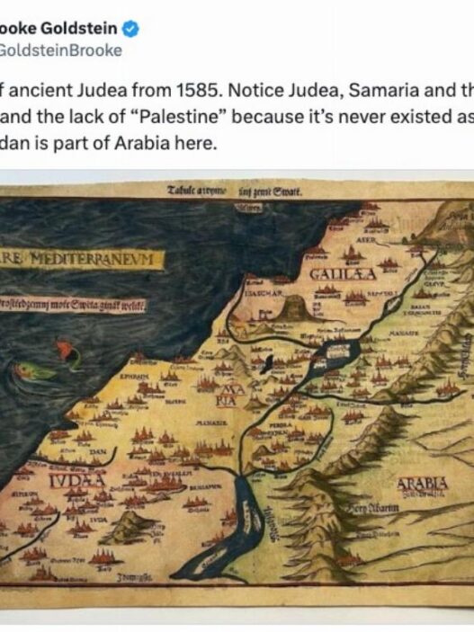 The Leftist History Behind The Creation of Arab ‘Palestinians’