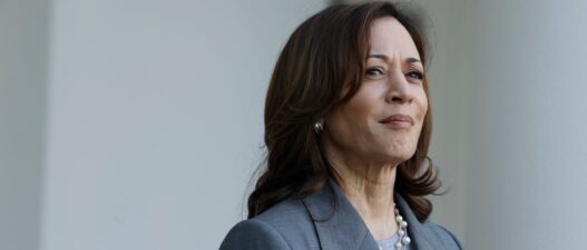 There’s One Job That Kamala Would Actually Be Great At