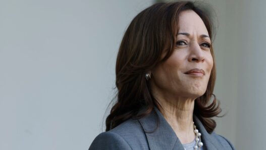 There’s One Job That Kamala Would Actually Be Great At