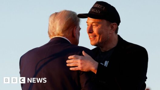 Trump has the world’s richest man on his side. What does Musk want?