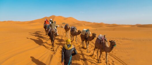 Wild Images Surface After World’s Largest Hot Desert Undergoes Rare Flooding