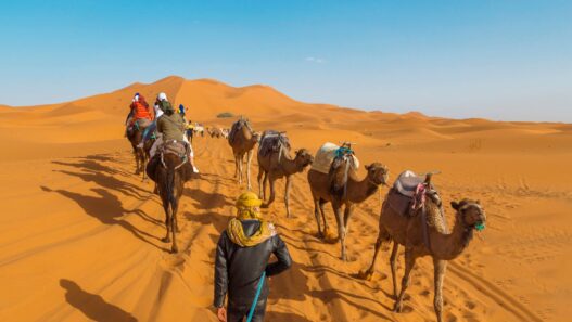 Wild Images Surface After World’s Largest Hot Desert Undergoes Rare Flooding