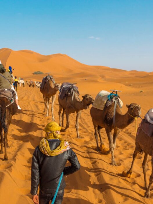 Wild Images Surface After World’s Largest Hot Desert Undergoes Rare Flooding