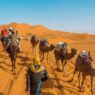 Wild Images Surface After World’s Largest Hot Desert Undergoes Rare Flooding