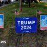 Will 'non-stop' US election ads help Trump or Harris?