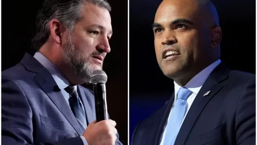 ‘Lying like crazy’: Cruz takes final swipe at Colin Allred ahead of debate